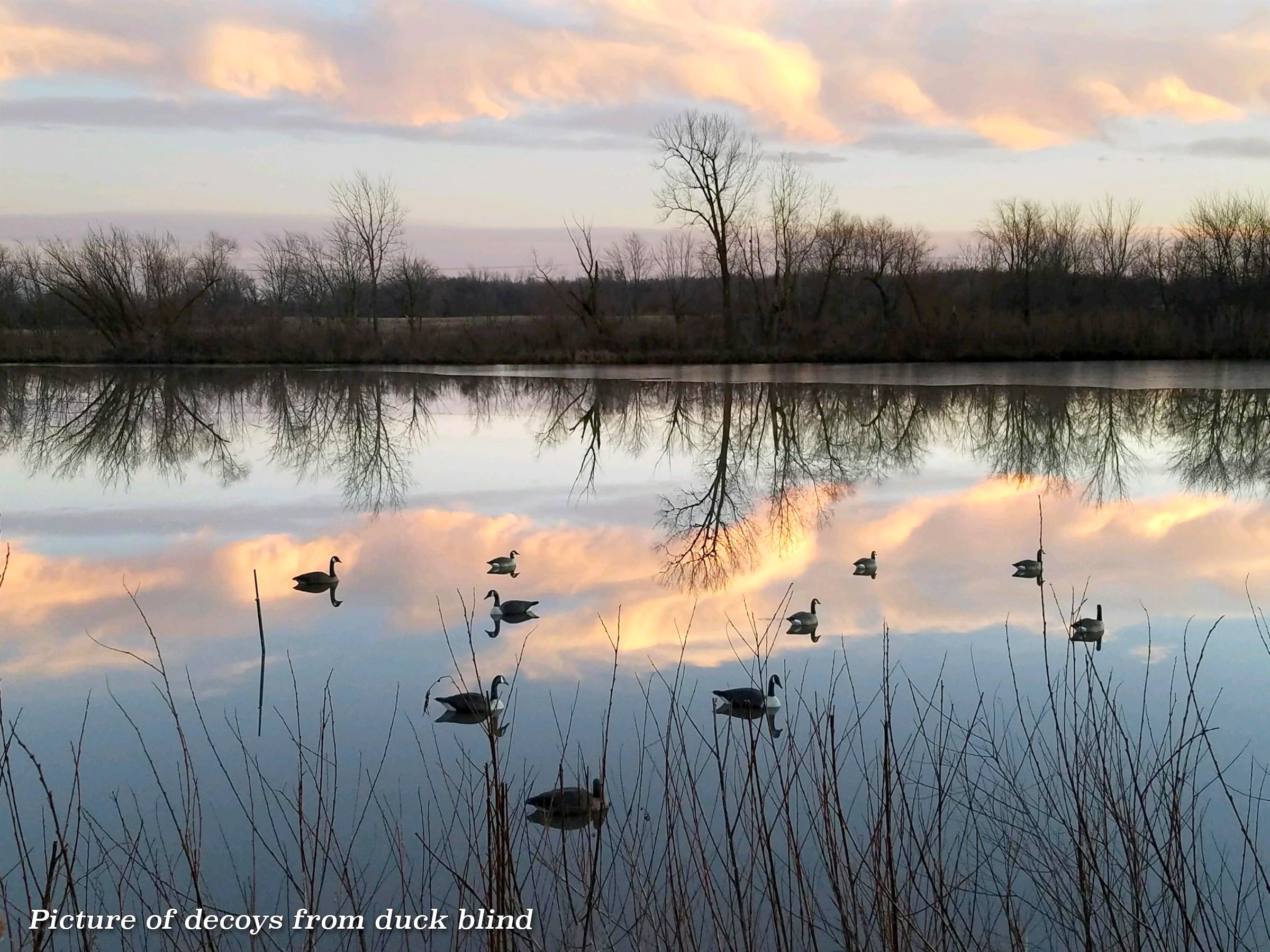 Pond on a farm in Lake County, Indiana - LAND AUCTION - 147+/- ACRES OFFERED IN 3 TRACTS IN LAKE COUNTY, INDIANA